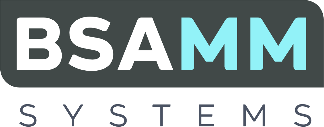 BSAMM Systems